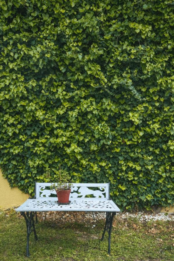 Abelia Boutique Rooms チィリヴィ エクステリア 写真